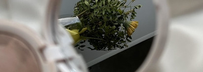 Твердый хорошист от Shik: запеченный скульптор-бронзер Perfect Sculptor