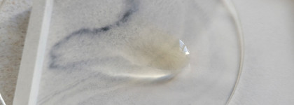 RejudiCare Synergy 2CRM - эффективная сыворотка с витамином С