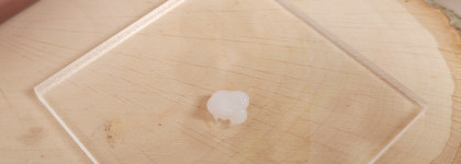 Manyo Bifida Biome Concentrate - кремы для лица и глаз из концентрированной серии с пробиотиками