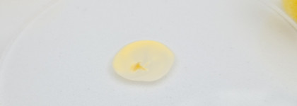 Bielenda Cera Lipidum Multiceramide smoothing barrier eye cream - бюджетный и эффективный зимний уход