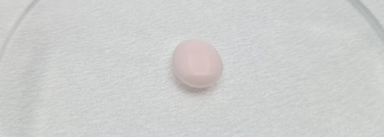 Round Lab Camellia Deep Collagen Firming Sun Serum SPF 50+ PA+++