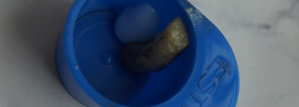 "No makeup makeup" или же "Милый, я только что проснулась". Делаем ровные и натуральные  брови краской