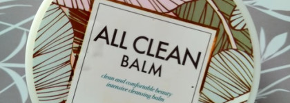 Моем, моем трубочиста Чисто-Чисто! 8 вымывашек на моей полочке