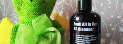 Моем, моем трубочиста Чисто-Чисто! 8 вымывашек на моей полочке