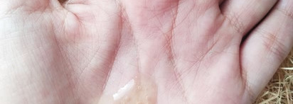 Трюфель мой, я твоя хрюшка. Хочется ли хрюкать от счастья после приобретения Neogen serum in oil drop White Truffle