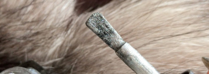 Редкая птица в мире лаков для ногтей: Elian Russia Nail Lacquer тон 738 Time Traveller