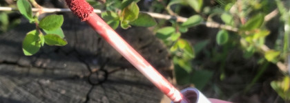 Розовый нюд на любой случай: стойкая помада Meet Matt(e) Hughes “Committed” от theBalm