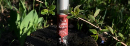 Розовый нюд на любой случай: стойкая помада Meet Matt(e) Hughes “Committed” от theBalm