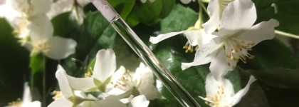 Глянцевый охлаждающий блеск для губ Influence Beauty Volume Shot lip volumizer