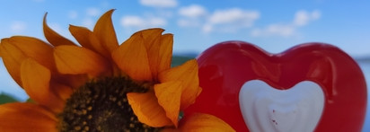 Скучный Fairy Love от Escada