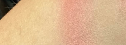 Коллекция Румян Suqqu Pure Color Blush