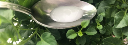 Интернет заставил меня купить это: CeraVe Hydrating Cream To Foam Cleanser For Normal To Dry Skin