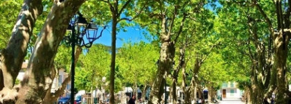 Праздник каждый день: парфюмированные гели для душа Places Des Lices