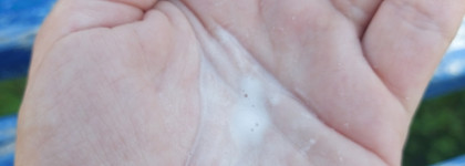 Такие разные, но обе по-своему прекрасные: энзимные пудры Aravia и Bielita