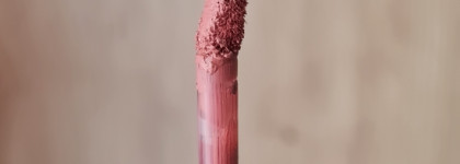 Ну такое. Fenty Icon Velvet Liquid Lipstick в нюдовом оттенке C-Suite'Heart от Fenty Beauty