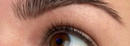 Maybelline Lash Sensational Веерный объем (06 Burgundy Brown)