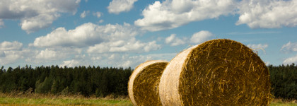 Летнее путешествие в деревню с Mugler Cologne Fly Away