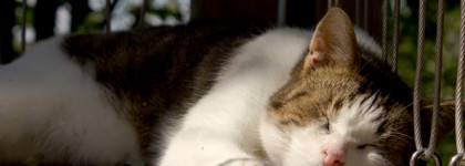 Летнее путешествие в деревню с Mugler Cologne Fly Away