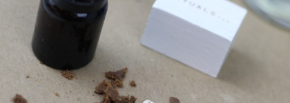 Tonka 25 Le Labo первобытный лес, строгость форм и неожиданное звучание