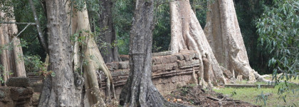 Мистический и загадочный мир исчезнувших цивилизаций, небесных Апсар и моих снов в Камбодже с Blue Amber, Montale
