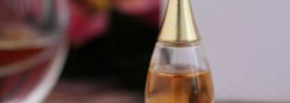 J`adore Dior весенние мотивы в декабре или иной взгляд на привычные вещи