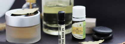 The Noir 29 Le Labo. Суповой набор или солёные огурцы