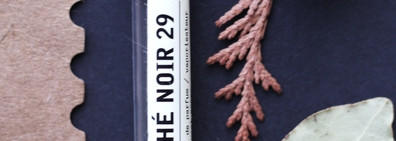 The Noir 29 Le Labo. Суповой набор или солёные огурцы