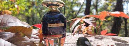 Tabac Gourmand аналог Tom Ford Tobacco Vanille или самостоятельное произведение?