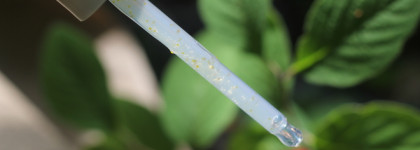 Galac Whitening Vita Serum от Ma:nyo сыворотка с витамином С , которую я использую летом