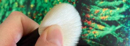 Кисти Annbeauty. Мои впечатления. Аналоги дешевле и можно ли им найти аналог