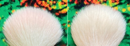 Кисти Annbeauty. Мои впечатления. Аналоги дешевле и можно ли им найти аналог