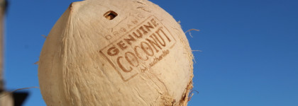 Как пахнет небо: 3 лучших аромата весны