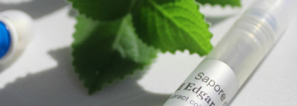 Edgardio Chilini: No Faith In Love Extract Cologne и Sapore di baci Extract Cologne - моё мятное путешествие