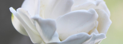 Edgardio Chilini Sublime Lavender - лавандово-лимонадное свидание