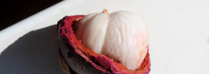 Edgardio Chilini Mangosteen extract cologne - фруктовая звезда российской парфюмерии