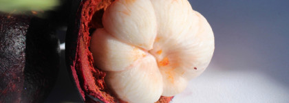 Edgardio Chilini Mangosteen extract cologne - фруктовая звезда российской парфюмерии