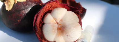 Edgardio Chilini Mangosteen extract cologne - фруктовая звезда российской парфюмерии