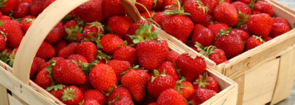 Strawberry Ecstasy Edgardio Chilini - запах январского солнца