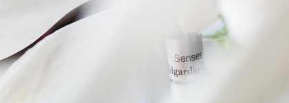 Edgardio Chilini Senses - цветы, утонувшие в ягодном йогурте