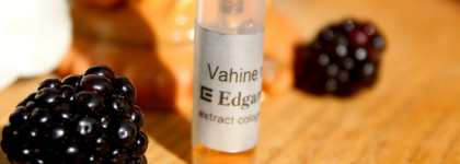 Vahine no te Tiare Edgardio Chilini - экзотика, книга, ежевика