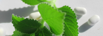 Моё бело-бирюзовое лето - 3 самых ярких открытия 2022