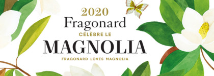 Сливочное солнце Монако: Magnolia Fragonard