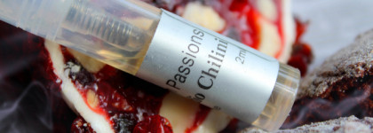 Languor in Passions Edgardio Chilini - дымное Рождество у камина