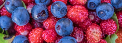 Look But Don't Touch Edgardio Chilini - сочный фламенко и его призрак