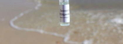 Edgardio Chillini Seaward Angel - море с коньяком и шоколад