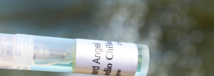 Edgardio Chillini Seaward Angel - море с коньяком и шоколад