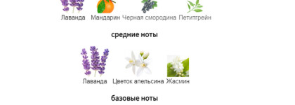 Libre Yves Saint Laurent - беж, миндаль и лаванда