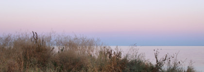 Edgardio Chilini How To Steal a Million: август, метеориты и деньги