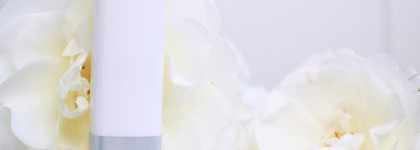 Theme Rose Edgardio Chilini - день белой розы с тархуном