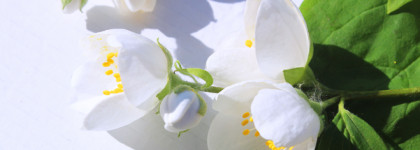 Edgardio Chilini No Faith In Love - якоря воспоминаний с 2016